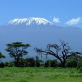 kilimanjaro-1025146_640